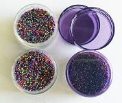 Micro beads,glass, multi colour 10 gram pot